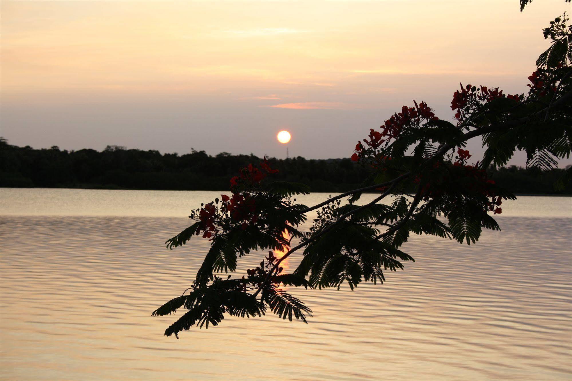 Sunset Bungalows Resort, Vanuatu Πορτ Βίλα Εξωτερικό φωτογραφία